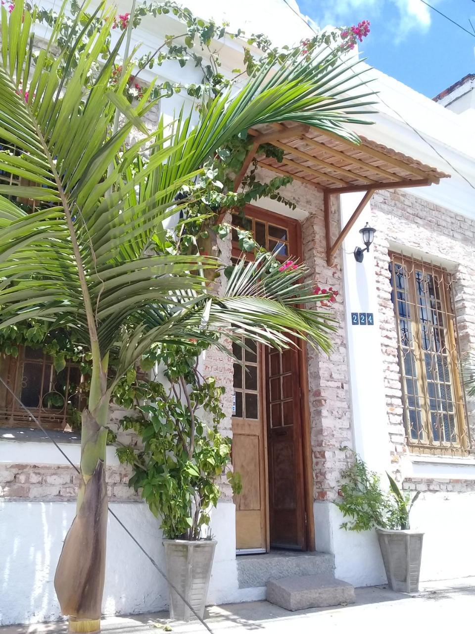 Frida Casa Hostel Πελότας Εξωτερικό φωτογραφία